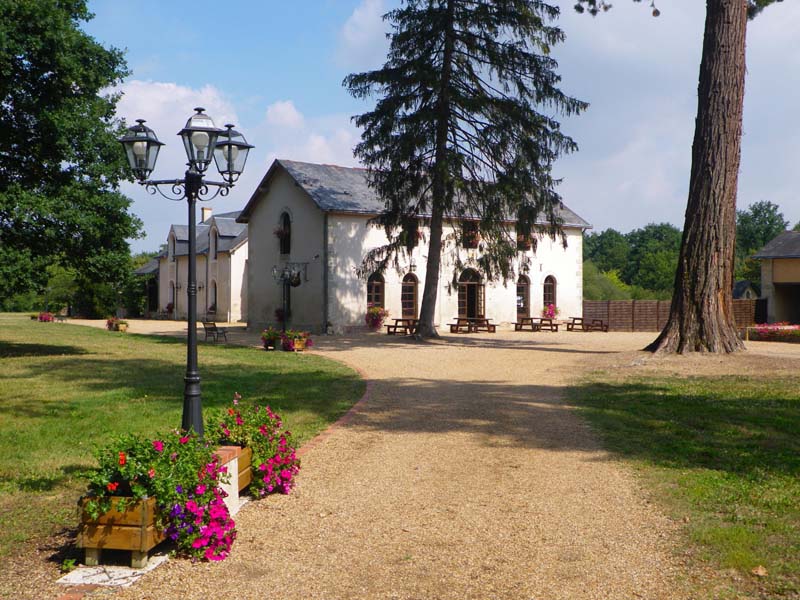 Domaine de la Fougeraie_37370 SAINT PATERNE RACAN_3